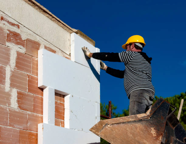 Insulation Repair Services in Delisle, MS