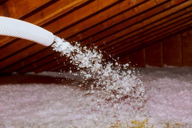 Best Insulation Replacement Services  in Delisle, MS