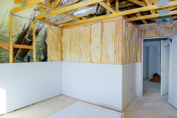 Best Best Insulation Companies  in Delisle, MS