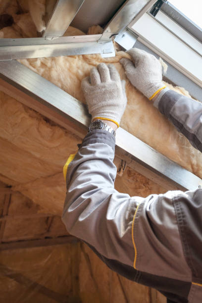 Best Crawl Space Insulation  in Delisle, MS
