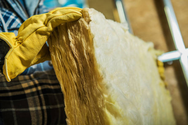 Best Home Insulation Services  in Delisle, MS