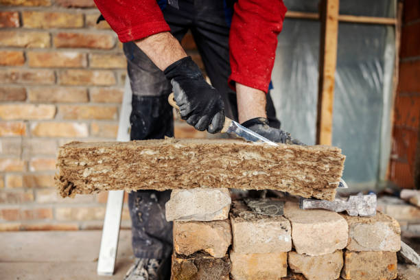 Best Residential Insulation Services  in Delisle, MS
