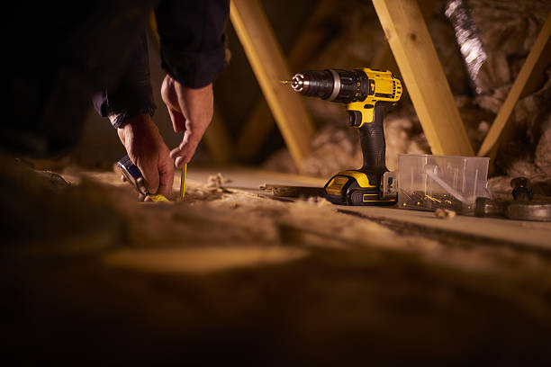 Best Insulation Inspection Services  in Delisle, MS