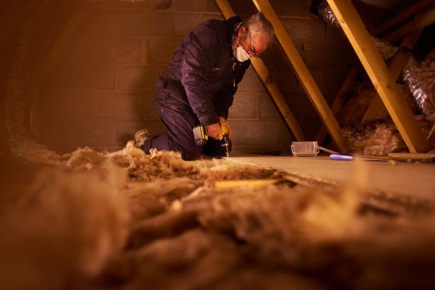 Best Local Insulation Services  in Delisle, MS
